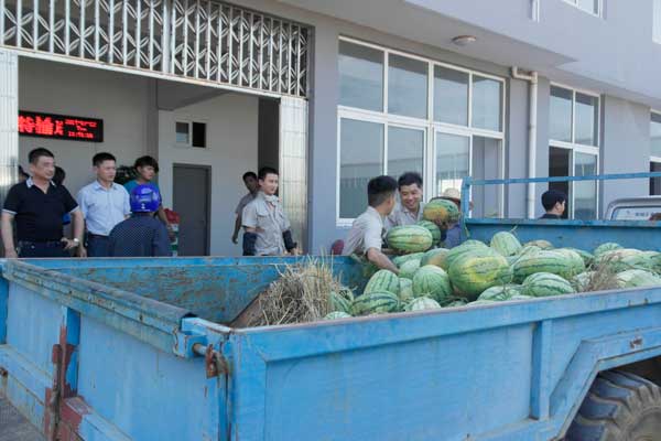 连云港政府送清凉正在搬运西瓜